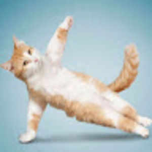 Meet your Posher, Kaylee